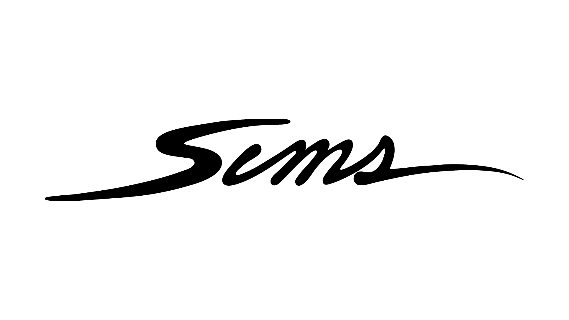 SIMS(シムス)