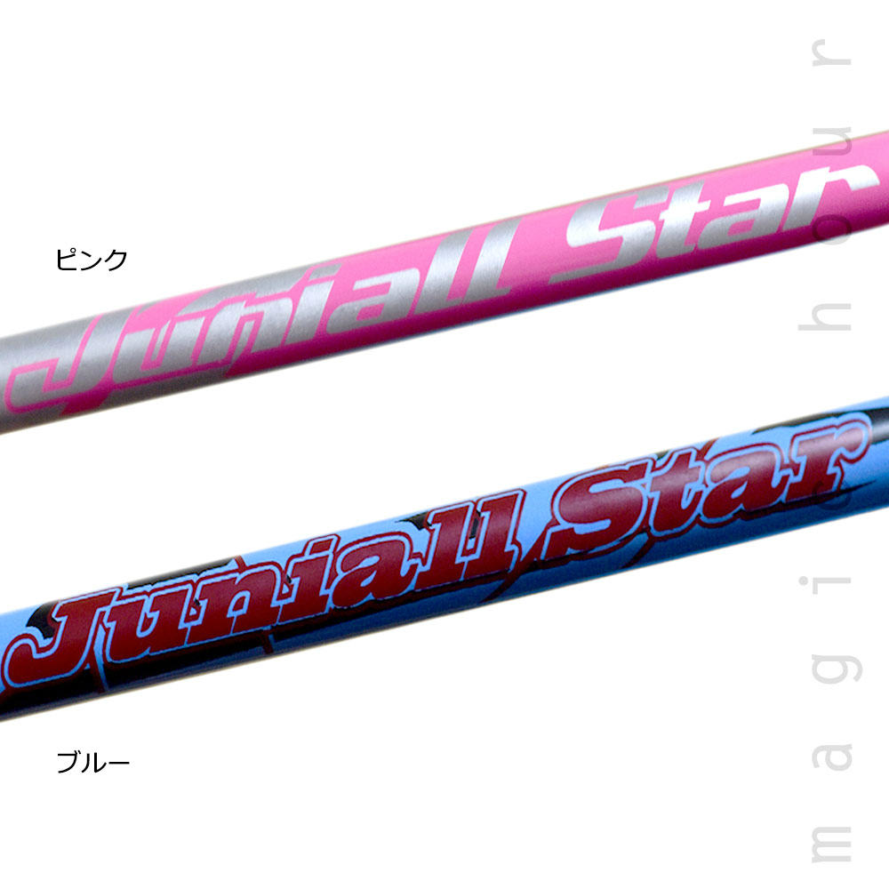 ジュニア スキー ポール ストック こども 伸縮 ペアポール キッズ 子供用 2本 セット 80cm 〜 110cm ブルー ピンク ボーイズ ガールズ naito jyuniallstar NAITO-JUNIALLSTAR-BLU-F  2